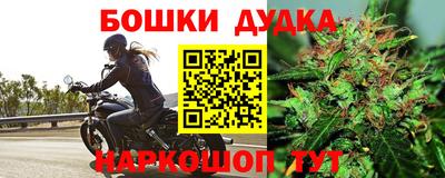 марки lsd Будённовск