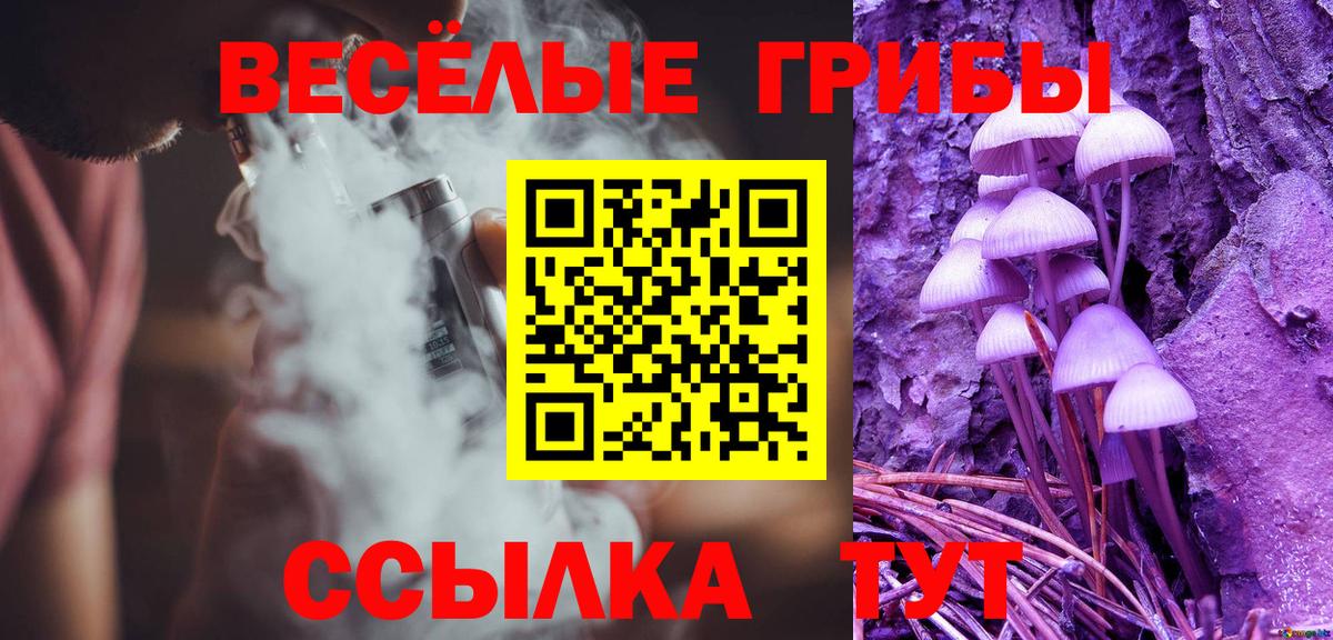 Галлюциногенные грибы Cubensis Котовск