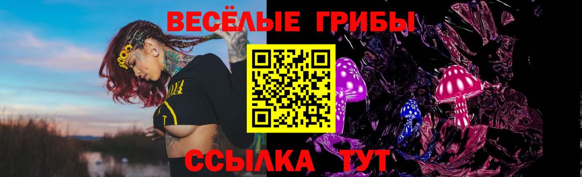 Галлюциногенные грибы Psilocybine cubensis  Вход с VPN  Котовск 