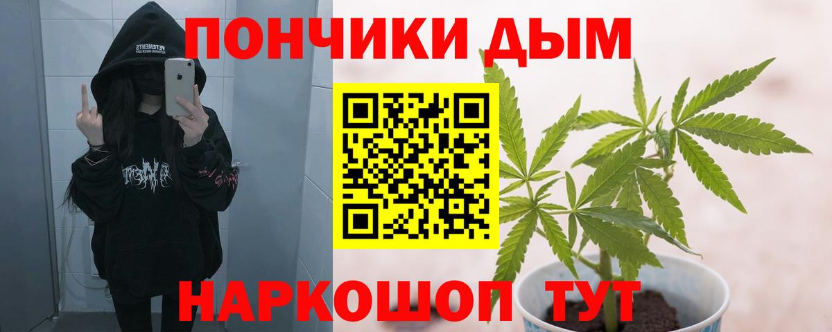 Бошки Шишки SATIVA & INDICA  Вход с VPN  Шишки марихуана план  Канабис конопля  Котовск 